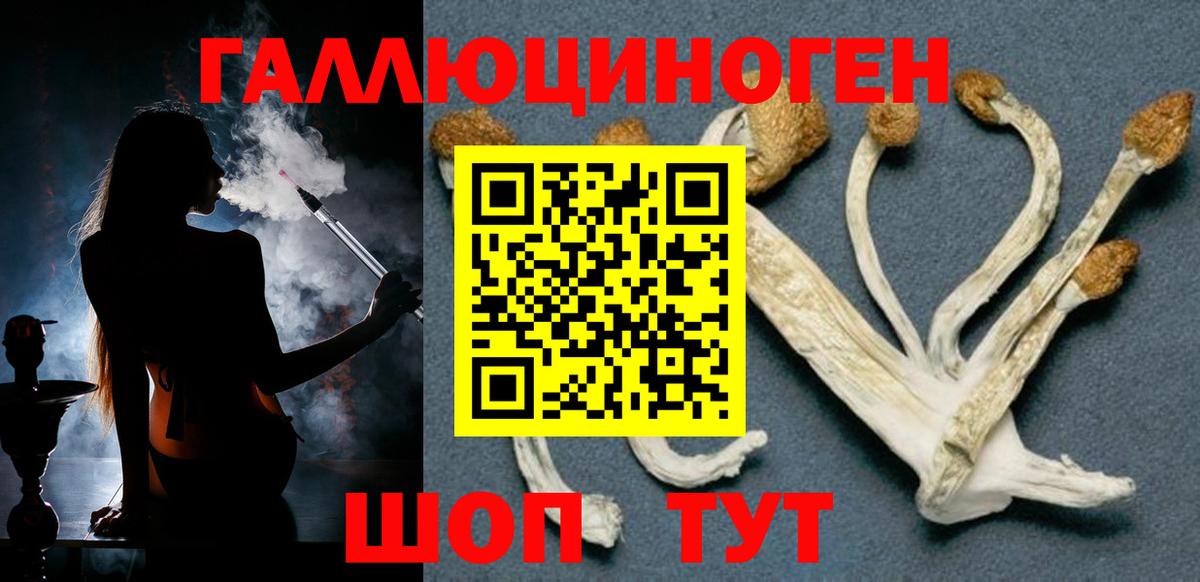 Шелехов  Псилоцибиновые грибы Cubensis  Вход с VPN 