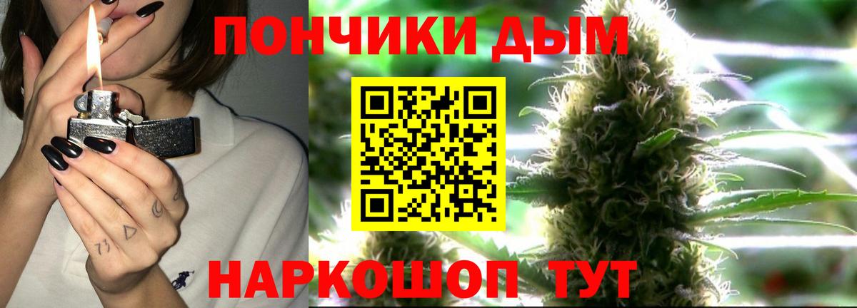 Канабис план  Вход с VPN  Шелехов  Шишки марихуана сатива  Конопля OG Kush 